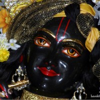 Haresh Bhavnani