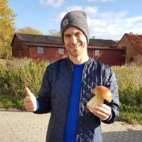 Emil Pedersen