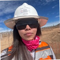 Alline Danepssy Olivares Gallardo