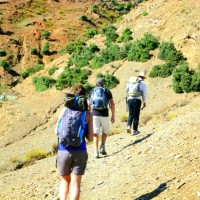 Guide Trek