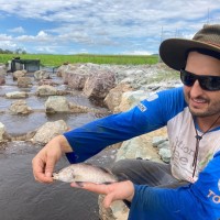 Carlos Henrique Bueno