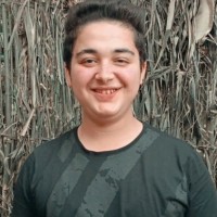 Ahmed Rashed