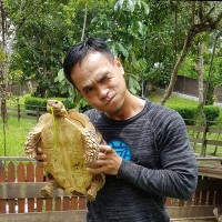 Udin, S.Si