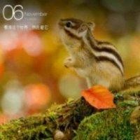 陈学钢