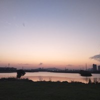 刘宗禹