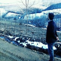 Serkan Lafci