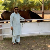 Muhammad Numan