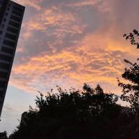 高志珍