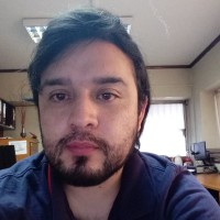 Pedro Ignacio Díaz Araya