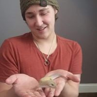 Austin Voigt