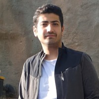 Nader Tavassoli