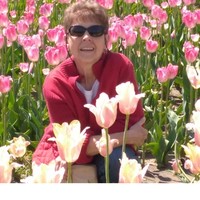 Gail Mahlman