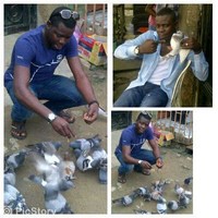 adeyemi adebajo adedayo