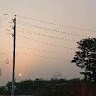 Chittor Pratibha