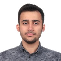Metin Arguç