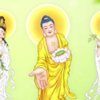 Ba Van Ha Ha