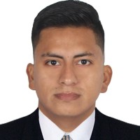 Ronaldo Favio Tagle Velasquez