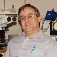 Randy Boltin