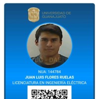 Juan Luis Flores Ruelas