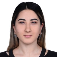 Melis Metin