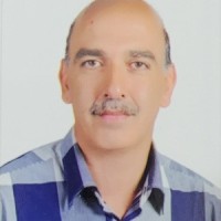 Mohsen Shahsafi
