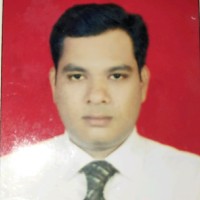 Vinayak P.