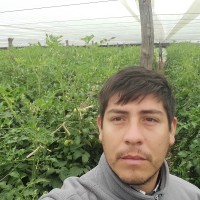 Diego Leon Ruiz