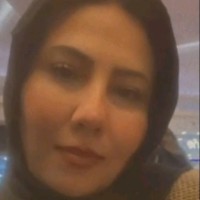 Niveen Hassan