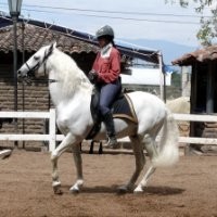 Ecuestre Sisika Annon