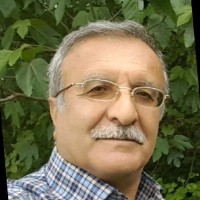 Mehran Saburruh Monfared