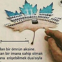 Ayşegül Mizrak