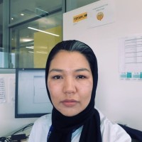 Ameneh Gholami