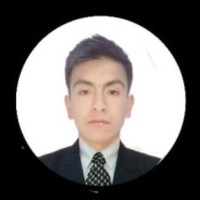 ELVIS DAVID FLORES RONDON