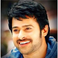 Nagaraju K