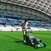 Gianni Torres Parreira