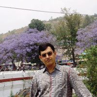 Asimjyoti Roychoudhury