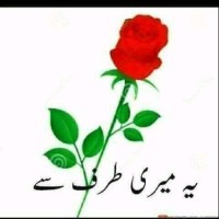 Nasir Jamal