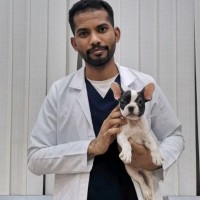 Dr.Ramzy Salah