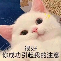 陈粞林