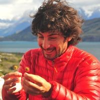 Julio Llanos