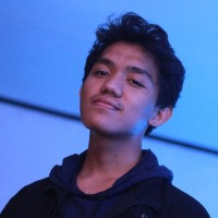 Nur Fauzi