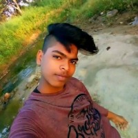 Vishal Paswan