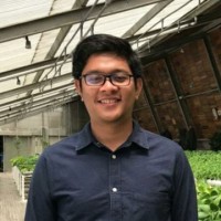Faldi Dwi Hastiya