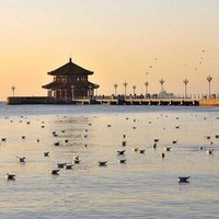 王京臣