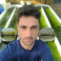 Ricardo Camilo Martins