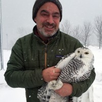 David J Agro