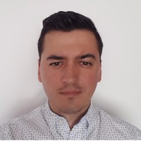 Adrian Gruiea
