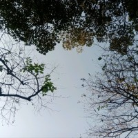Thiên An