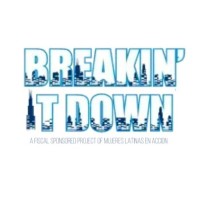 Breakin' It Down Chicago