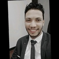 Wael Shokry